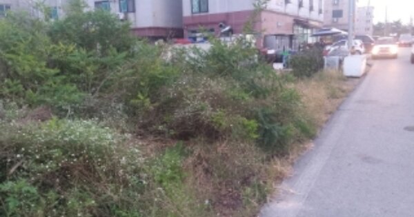 충청남도 당진시 송악읍 복운리 OOOOO 염전 경매 물건 이미지
