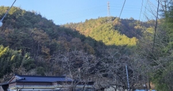 전라남도 보성군 미력면 도개리 OOOO O OOO 임야 경매 물건 이미지