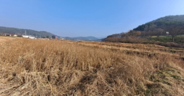 충청남도 서산시 해미면 황락리 OOO 답 경매 물건 이미지