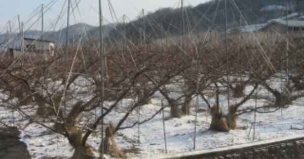 충청북도 괴산군 불정면 앵천리 OOO 전 경매 물건 이미지