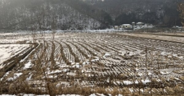 충청북도 진천군 문백면 은탄리 OO 전 경매 물건 이미지