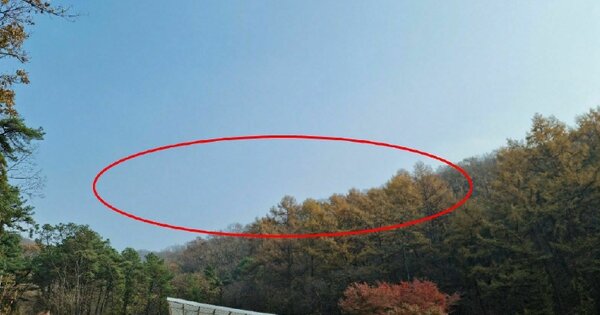 경기도 성남시 분당구 구미동 OOOOO 임야 경매 물건 이미지