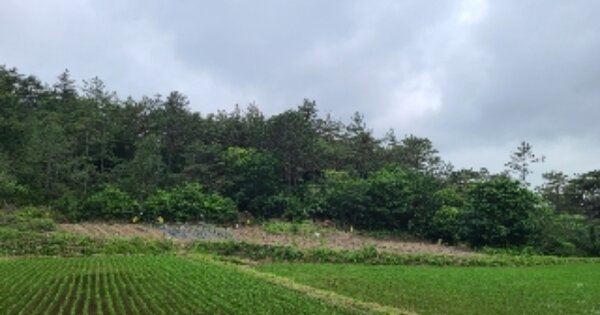 전라남도 영광군 염산면 상계리 OOO 답 경매 물건 이미지