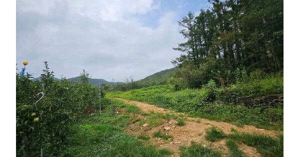경상북도 문경시 산북면 가좌리 OOOOO O OOO 과수원 경매 물건 이미지