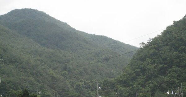 경상북도 문경시 가은읍 민지리 OOO 임야 경매 물건 이미지