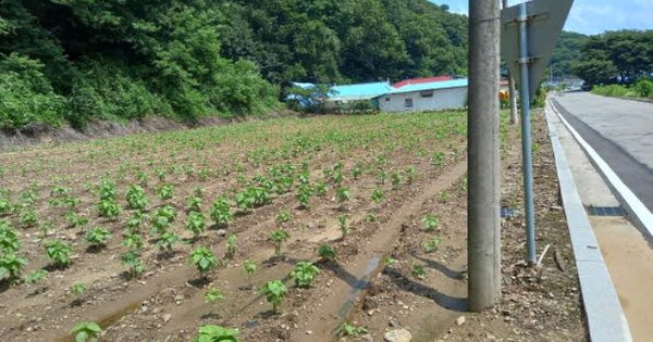 경기도 연천군 군남면 삼거리 OOOOO 대지 경매 물건 이미지