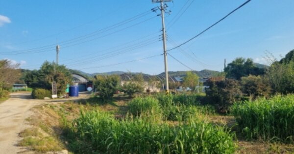 경기도 가평군 상면 연하리 OOO O OOO 동물 및 식물 관련시설 경매 물건 이미지