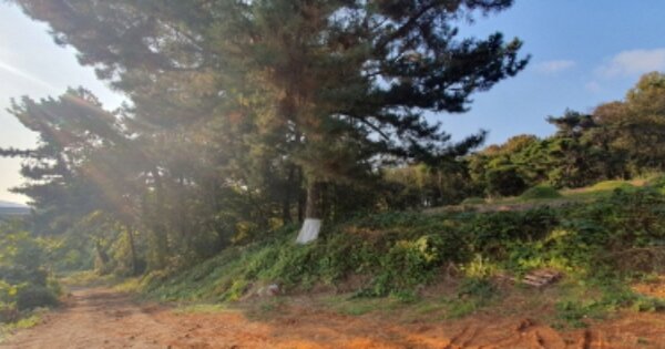 경기도 화성시 송산면 중송리 OOO 임야 경매 물건 이미지