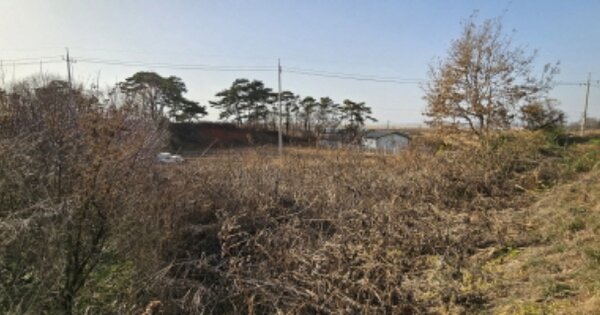 경기도 화성시 우정읍 원안리 OOOOO O OOO 전 경매 물건 이미지