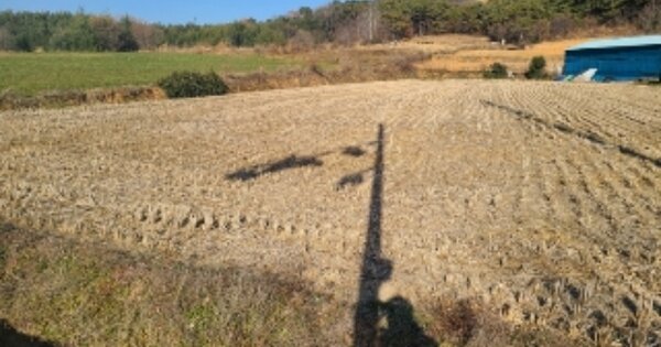 전라남도 나주시 반남면 대안리 OOOOO 답 경매 물건 이미지