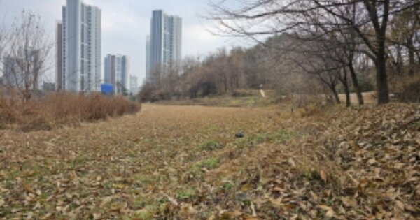 경기도 오산시 궐동 OOOOO O OOO 답 경매 물건 이미지
