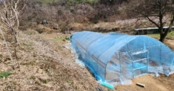 경상북도 안동시 임동면 사월리 OOO 답 경매 물건 이미지