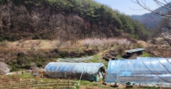 경상북도 안동시 임동면 사월리 OOO 전 경매 물건 이미지