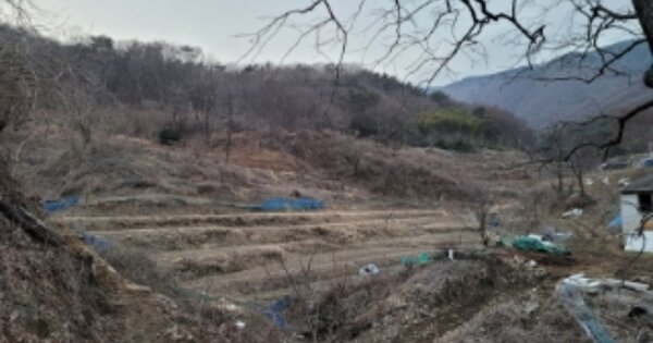 경상남도 양산시 상북면 내석리 OOOO 전 경매 물건 이미지