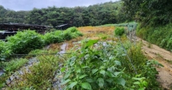 경상북도 안동시 풍산읍 매곡리 OOO 전 경매 물건 이미지