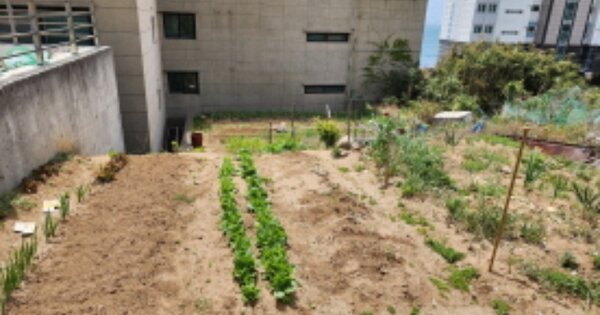 울산광역시 동구 방어동 OOOOO O OOO 전 경매 물건 이미지