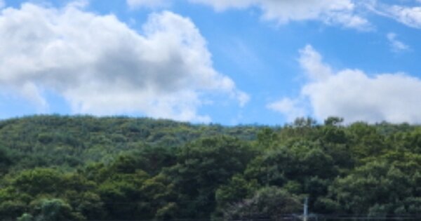 울산광역시 울주군 두동면 구미리 OOOOOO 임야 경매 물건 이미지