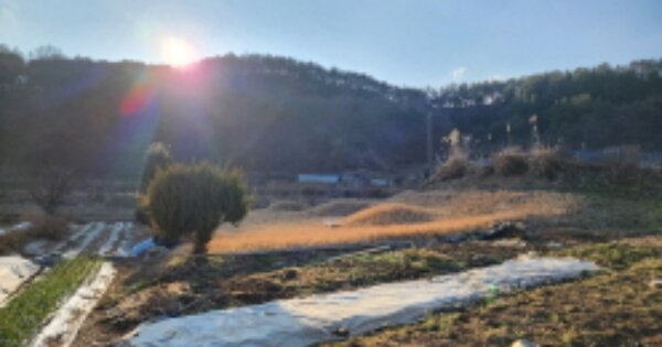 울산광역시 울주군 웅촌면 대대리 OOOO 묘지 경매 물건 이미지