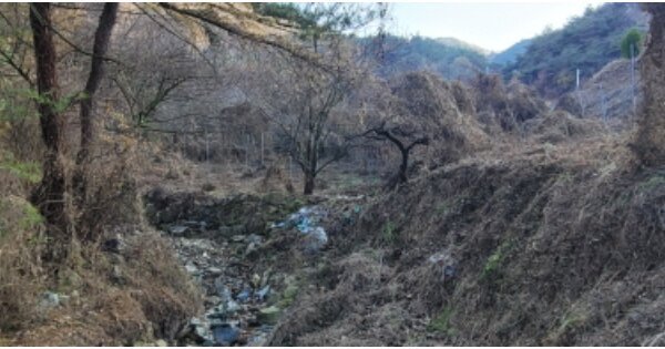 경상북도 영천시 화북면 죽전리 OOOOO 답 경매 물건 이미지