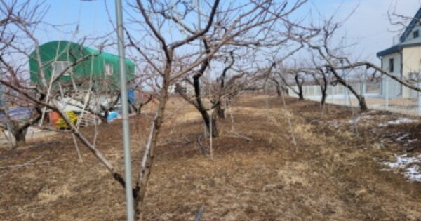 경상북도 경산시 진량읍 보인리 OOO 전 경매 물건 이미지