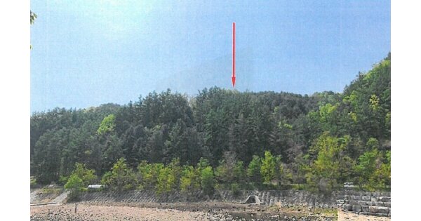 강원도 원주시 흥업면 흥업리 OOO 임야 경매 물건 이미지