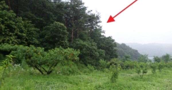 강원특별자치도 원주시 호저면 주산리 OOOOO 임야 경매 물건 이미지