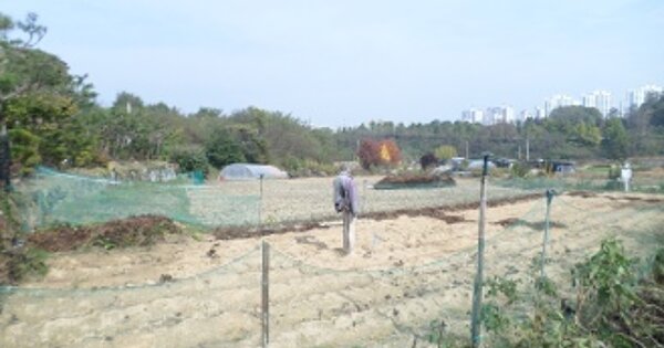 강원특별자치도 원주시 무실동 OOO 전 경매 물건 이미지
