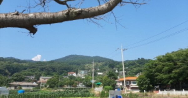 인천광역시 강화군 화도면 장화리 OOOOOO 임야 경매 물건 이미지