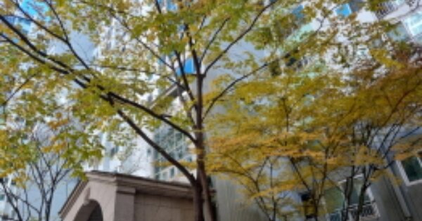 인천 남동구 간석동 938-1, 113동 OOOOOO OOOOOOOOOOO O OOO 아파트 경매 물건 이미지
