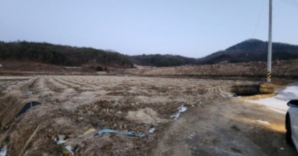 경상북도 안동시 풍산읍 오미리 OOO 답 경매 물건 이미지