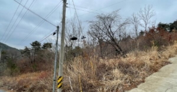 경상남도 산청군 신안면 안봉리 OOOOO 임야 경매 물건 이미지
