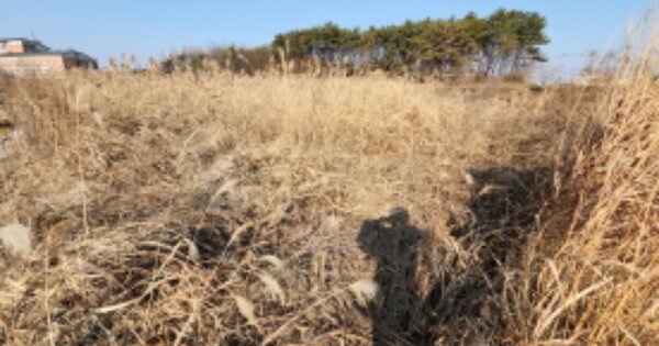 전라북도 익산시 황등면 율촌리 OOOOO 답 경매 물건 이미지