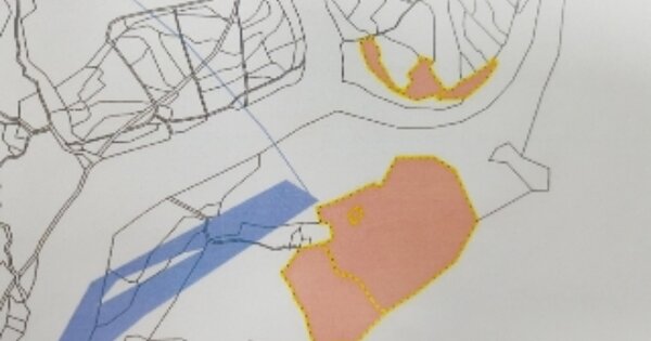강원특별자치도 양구군 방산면 건솔리 OO O OOO 임야 경매 물건 이미지