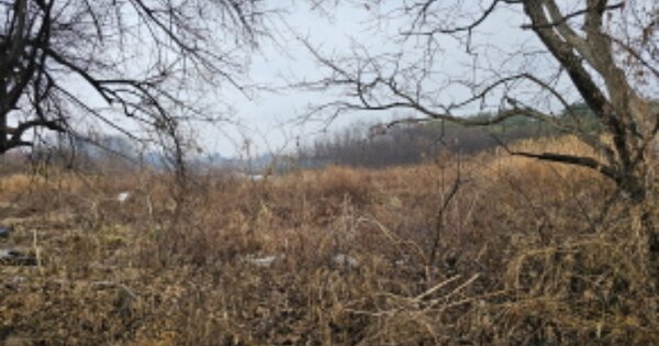 충청남도 천안시 서북구 성거읍 오목리 OOOOO 임야 경매 물건 이미지