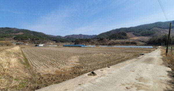 전라남도 보성군 문덕면 양동리 OOOOOO 답 경매 물건 이미지
