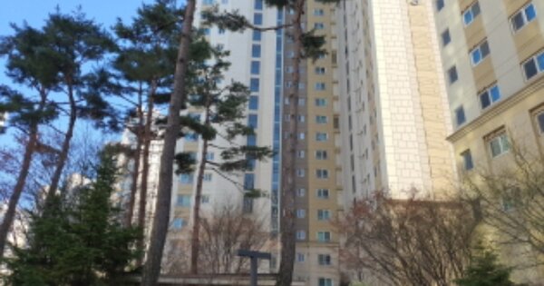 경기 김포시 풍무동 770, 113동 OOOOOOOO OOOOOOOOOOOOOOOO 아파트 경매 물건 이미지