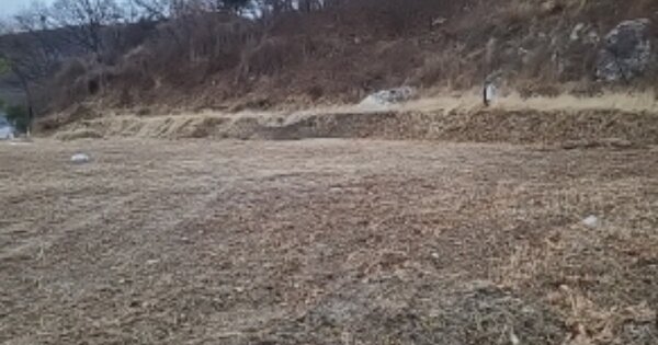 인천광역시 강화군 내가면 외포리 OOO O OOO 임야 경매 물건 이미지