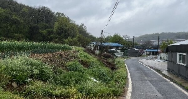 충청남도 아산시 신창면 가덕리 OOO 대지 경매 물건 이미지