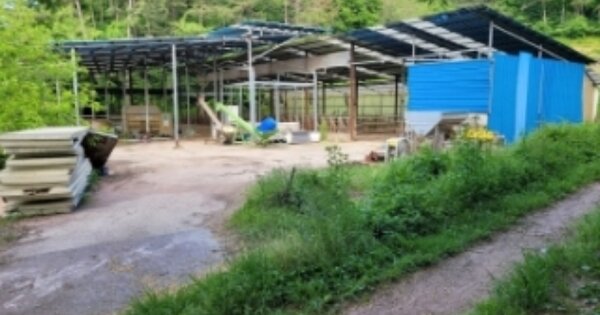 경상남도 진주시 문산읍 이곡리 OOOOO O OOO 동물 및 식물 관련시설 경매 물건 이미지