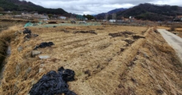 충청북도 제천시 백운면 화당리 OOO 답 경매 물건 이미지