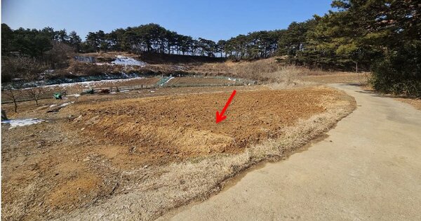 강원특별자치도 양양군 손양면 상운리 OOOOO 전 경매 물건 이미지
