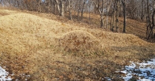 충청남도 홍성군 은하면 장척리 OOOOO 임야 경매 물건 이미지