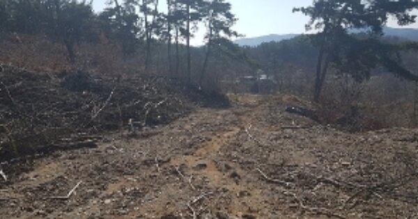 충청남도 보령시 웅천읍 대창리 OOOOO 임야 경매 물건 이미지