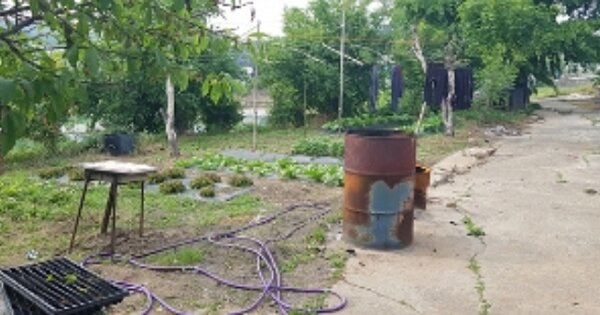 충청남도 홍성군 은하면 대천리 OO 대지 경매 물건 이미지