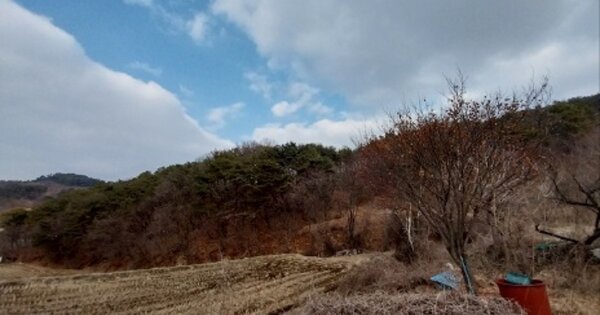 충청남도 공주시 금학동 OOOO 임야 경매 물건 이미지