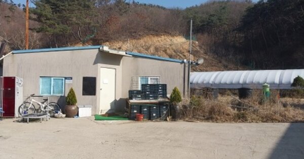 충청남도 청양군 정산면 해남리 OOO O OOOO 동물 및 식물 관련시설 경매 물건 이미지