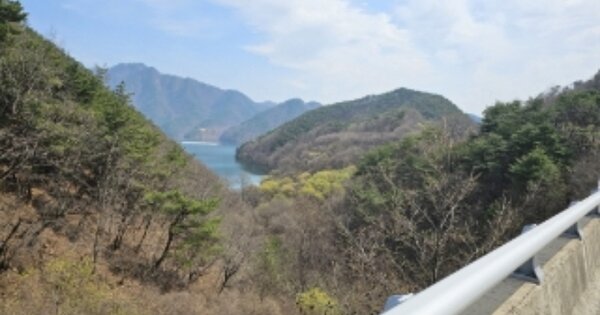 충청북도 충주시 살미면 신당리 OOOOO 임야 경매 물건 이미지