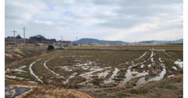 전라남도 신안군 팔금면 대심리 OOOOO 답 경매 물건 이미지
