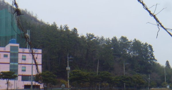전라남도 완도군 완도읍 군내리 OOOO O OOO 임야 경매 물건 이미지