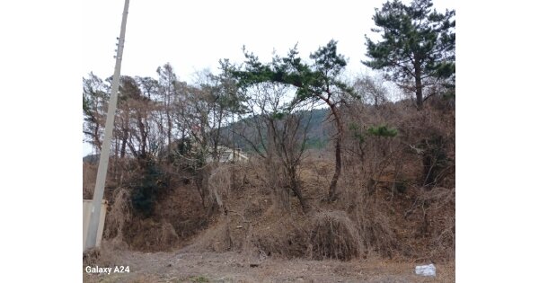 전라남도 여수시 율촌면 상봉리 OOOOO 임야 경매 물건 이미지
